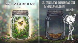Fireflies